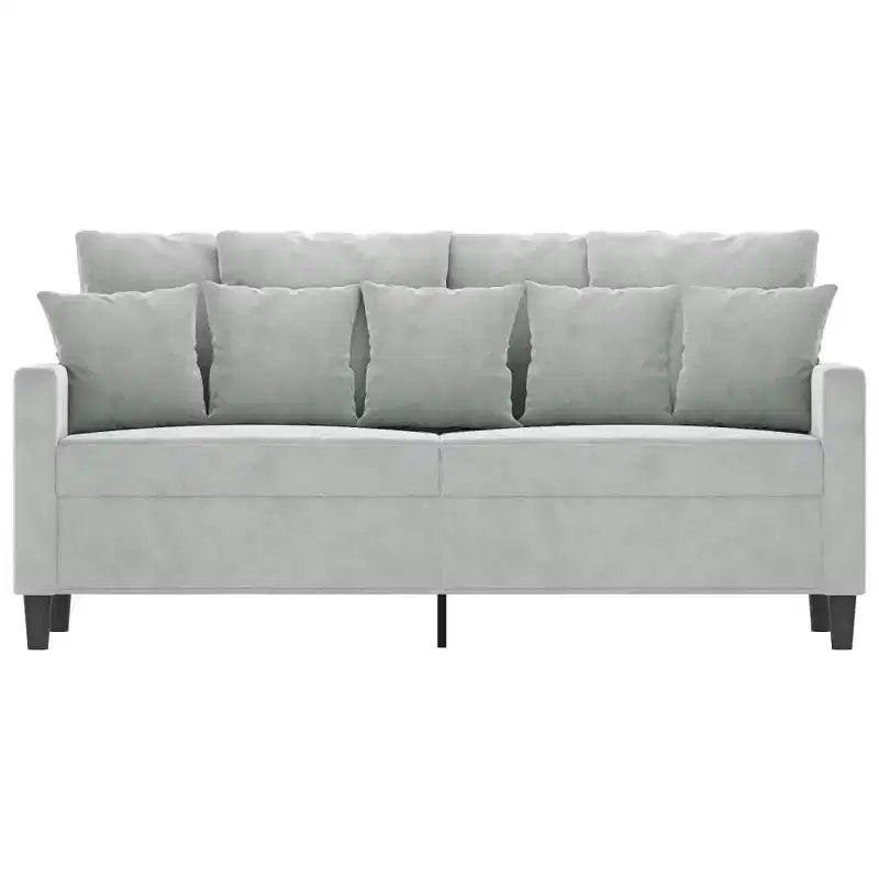 Luxurious 2-Seater Sofa in Light Gray Velvet - Comfortable Thickly-Padded Seat with Sturdy Metal Frame and Modern Design