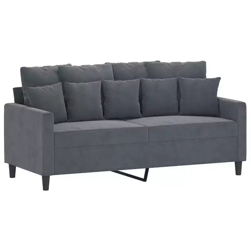 vidaXL 2-Seater Velvet Sofa  Modern Styling in Dark Gray with a Strong Metal Frame and Comfortable Seating