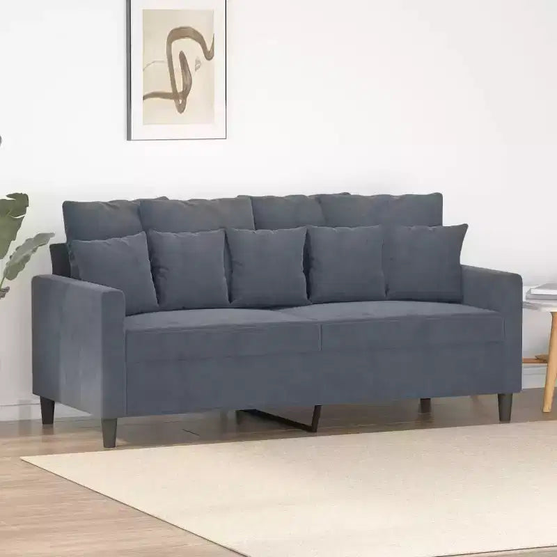 2-Seater Velvet Sofa Modern Styling in Dark Gray with a Strong Metal Frame and Comfortable Seating