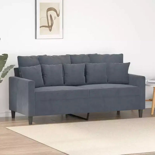 2-Seater Velvet Sofa Modern Styling in Dark Gray with a Strong Metal Frame and Comfortable Seating
