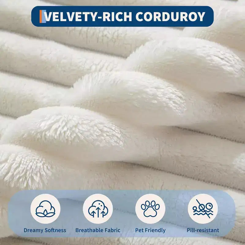 Corduroy Loveseat Sofa Chair with Pillows, Cloud Lounger for Living Room and Bedroom, No Assembly Fold Out Sleeper Couch, Compact Space-Saving Design